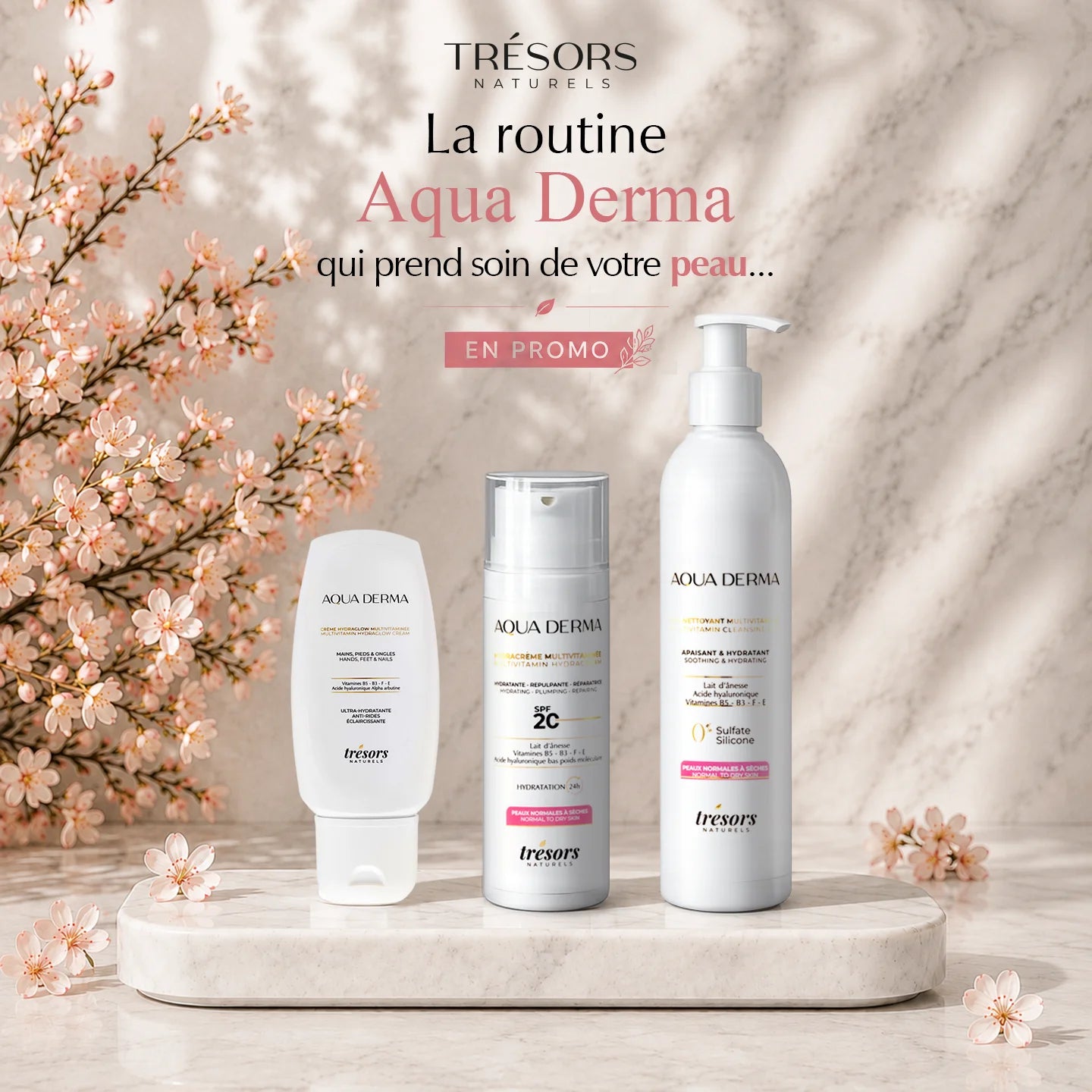Trio AQUA DERMA  Hydratation complète pour peau sèche